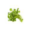 Chinese Watercress - image 3 | Inaivaa - Fresh & Wonderful