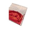Cream with Red Soft Silk - image 3 | Saree Palace Germany