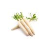 Daikon Radish - image 3 | Inaivaa - Fresh & Wonderful
