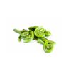 Fiddlehead Ferns - image 3 | Inaivaa - Fresh & Wonderful