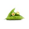Gourd (Bitter Melon, Sponge Gourd, Bottle Gourd, etc.) - image 3 | Inaivaa - Fresh & Wonderful