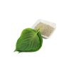 Korean Perilla Leaves (Sesame Leaves) - image 3 | Inaivaa - Fresh & Wonderful