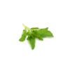 Thai Basil - image 3 | Inaivaa - Fresh & Wonderful
