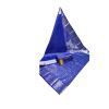 Tissue Banarasi Silk Saree With Big Kanchi Border - image 19 | Saree Palace Germany