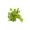Watercress - image 3 | Inaivaa - Fresh & Wonderful