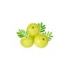 Amla (நெல்லிக்காய்) - image 3 | Inaivaa - Fresh & Wonderful
