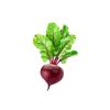 Beetroot (பீட்ரூட்) - image 3 | Inaivaa - Fresh & Wonderful