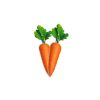 Carrot (கேரட்) - image 3 | Inaivaa - Fresh & Wonderful
