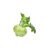 Kohlrabi (நூக்கல்) - image 3 | Inaivaa - Fresh & Wonderful