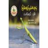 - Kumbidipoochiyin payangara pasi / கும்பிடிபூச்சியின் பயங்கரப் பசி - image 3 | Noolakam | Bazaa
