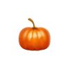 Pumpkin (பூசணி) - image 3 | Inaivaa - Fresh & Wonderful