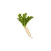 Radish (முள்ளங்கி) - image 3 | Inaivaa - Fresh & Wonderful