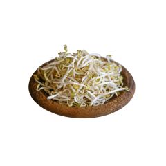 - Bean Sprouts - image 3 | Inaivaa - Fresh & Wonderful | Bazaa