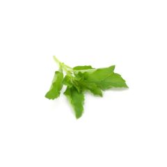 - Thai Basil - image 3 | Inaivaa - Fresh & Wonderful | Bazaa