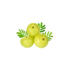 Amla (நெல்லிக்காய்) - image 3 | Inaivaa - Fresh & Wonderful