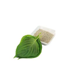 - Korean Perilla Leaves (Sesame Leaves) - image 3 | Inaivaa - Fresh & Wonderful | Bazaa