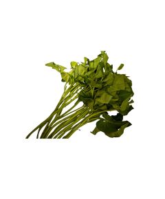 Water Spinach (Kangkong or Ong Choy) - image 3 | Inaivaa - Fresh & Wonderful