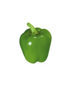 Capsicum (குடைமிளகாய்) - image 3 | Inaivaa - Fresh & Wonderful