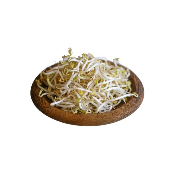 Bean Sprouts - image 3 | Inaivaa - Fresh & Wonderful