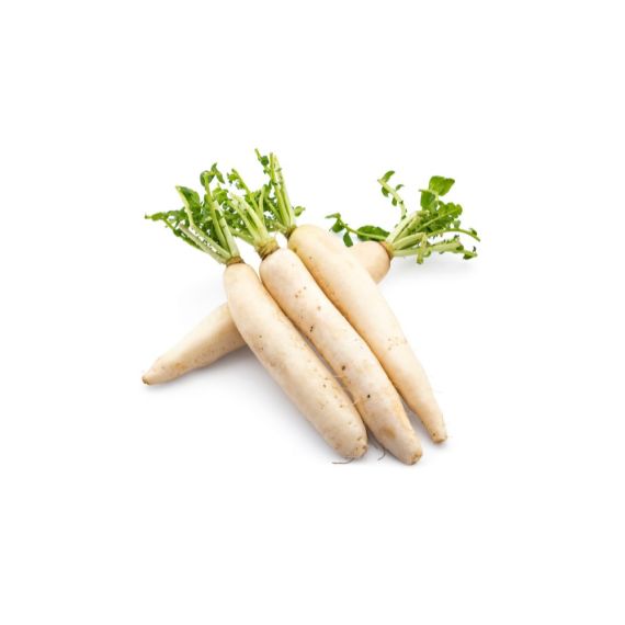 Daikon Radish - image 3 | Inaivaa - Fresh & Wonderful