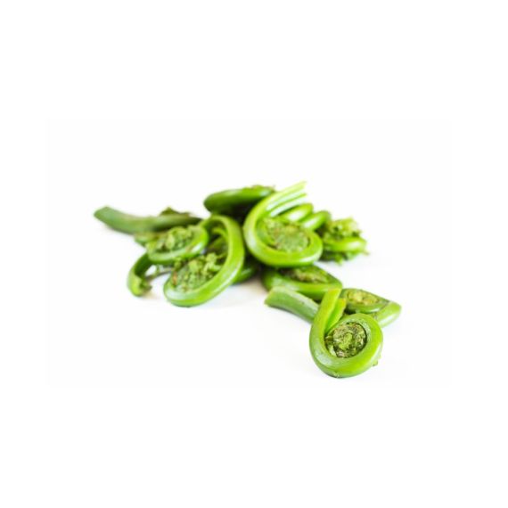 - Fiddlehead Ferns - image 3 | Inaivaa - Fresh & Wonderful | Bazaa