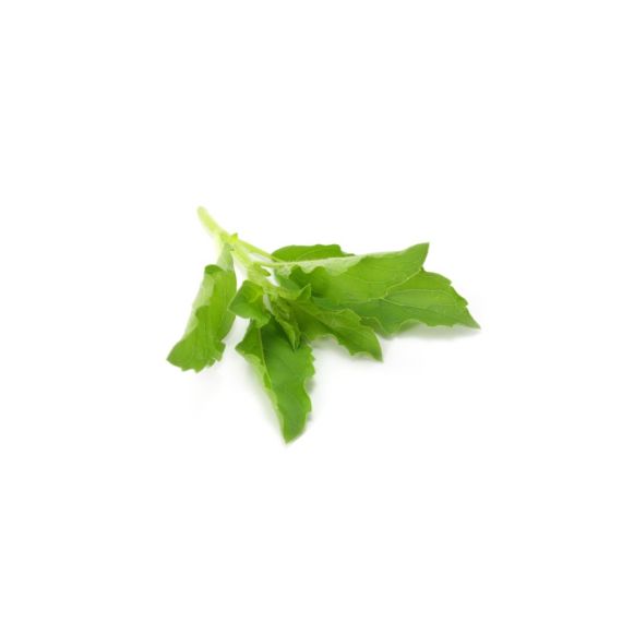 Thai Basil - image 3 | Inaivaa - Fresh & Wonderful