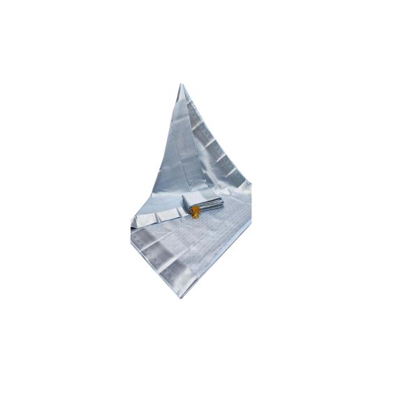 Tissue Banarasi Silk Saree With Big Kanchi Border - image 15 | Saree Palace Germany