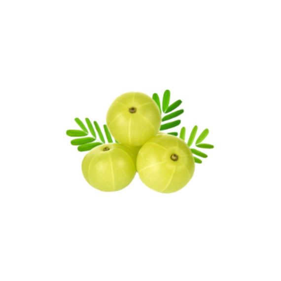 Amla (நெல்லிக்காய்) - image 3 | Inaivaa - Fresh & Wonderful